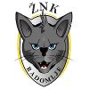 ZNK拉多姆耶