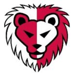 霍尔莫利亚U19